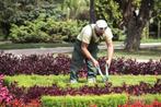 Gepensioneerd tuinman, Vacatures, Vacatures | Landbouw, Natuur en Milieu