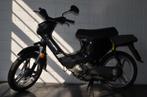 Honda Wallaroo klasse A in topconditie, Gebruikt, Benzine, Ophalen, Overige merken
