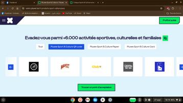 Cheques culture et sport pluxee (sodexo) disponible aux enchères