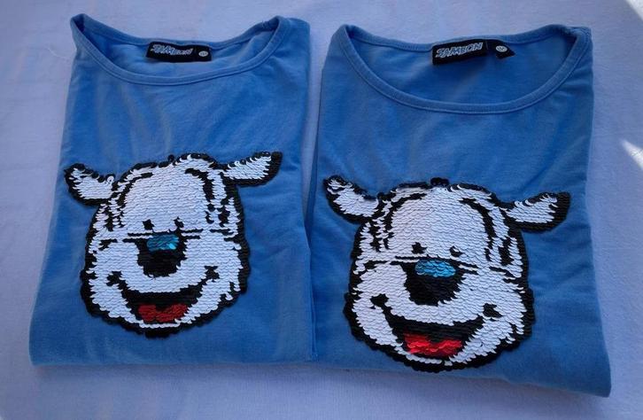 2 x Thee-shirts met lange mouwen, Kinderen en Baby's, Kinderkleding | Overige, Zo goed als nieuw, Jongen of Meisje, Ophalen of Verzenden