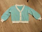 gilets in maat S, Ophalen of Verzenden, Zo goed als nieuw, Maat 36 (S), Overige kleuren