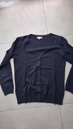 Trui Bel & Bo, Taille 46/48 (XL) ou plus grande, Enlèvement ou Envoi, Bel & Bo, Porté