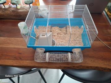Hamsterkooi te koop beschikbaar voor biedingen