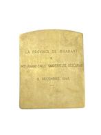 Médaille J. Fonson par Pierre Theunis 1883 1950 art nouveau, Bronze, Enlèvement ou Envoi