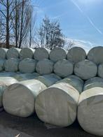 Grote bollen maïs, Dieren en Toebehoren, Ophalen