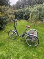 De Van Raam Maxi fiets elektrisch, Fietsen en Brommers, Ophalen, Zo goed als nieuw