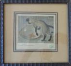 OSWALD POREAU / KAT MET VISBOKAAL / KLEURETS / 23x25cm KADER, Ophalen of Verzenden