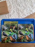 Vogelboek-alle vogels
