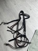 Paardenspullen te koop!, Enlèvement, Comme neuf