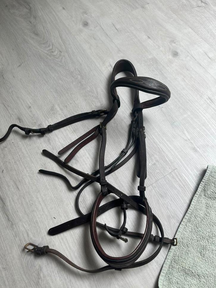 Paardenspullen te koop!, Animaux & Accessoires, Chevaux & Poneys | Brides & Harnachement, Comme neuf, Enlèvement