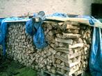 Brandhout den droog, Tuin en Terras, Brandhout, Minder dan 3 m³, Ophalen, Overige houtsoorten, Blokken