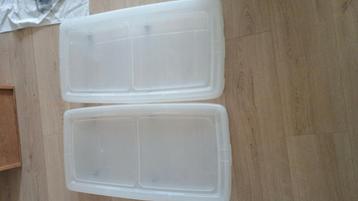 2 langwerpige opbergdozen op wieltjes (voor onder bed) beschikbaar voor biedingen
