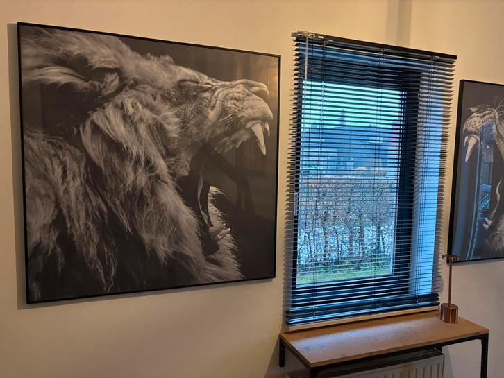 Arrogant The gallery foto’s, Antiquités & Art, Art | Peinture | Abstraite, Enlèvement