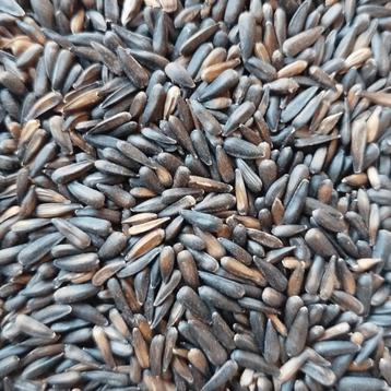 Micro Zwarte Zonnebloempitten 1kg beschikbaar voor biedingen