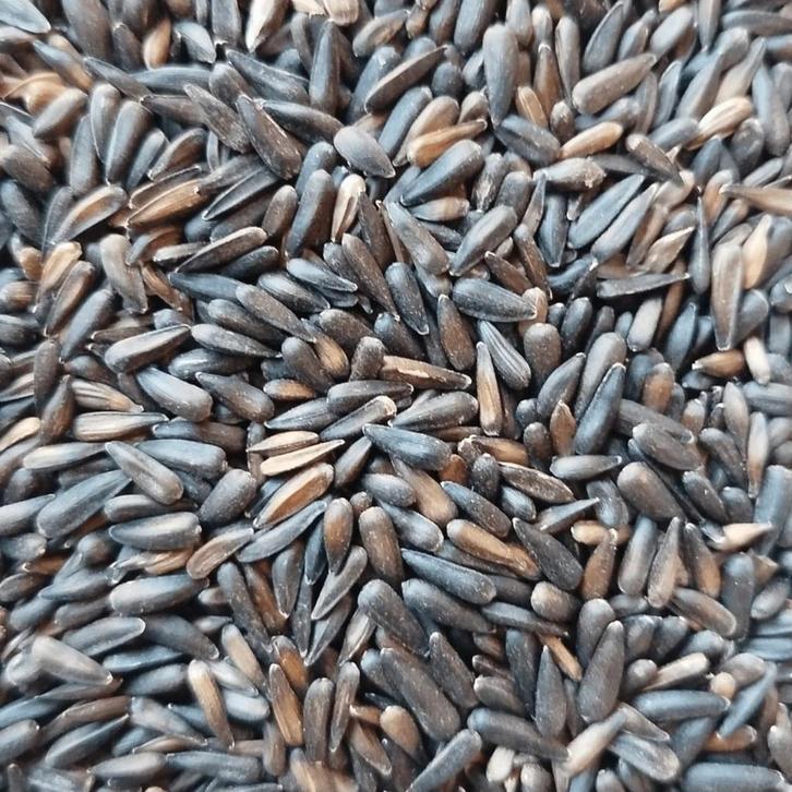 Micro Zwarte Zonnebloempitten 1kg, Dieren en Toebehoren, Vogels | Toebehoren, Ophalen