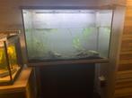 Aqarium met onderkast, Dieren en Toebehoren, Ophalen, Zo goed als nieuw
