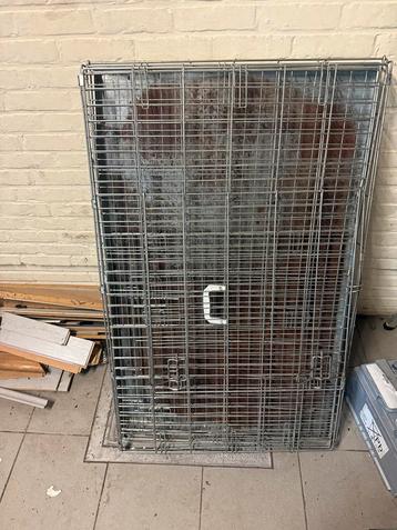 Grote hondenkooi beschikbaar voor biedingen