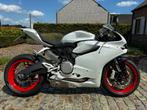Ducati Panigale, 2 cilinders, 899 cc, Motorrijbewijs A, Quickshifter