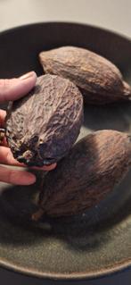 3 Siernoten/vruchten decoratie, Antiek en Kunst, Curiosa en Brocante, Ophalen