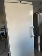 CONGELATEUR LIEBEER, Electroménager, Congélateur, 160 cm ou plus, Enlèvement, Utilisé