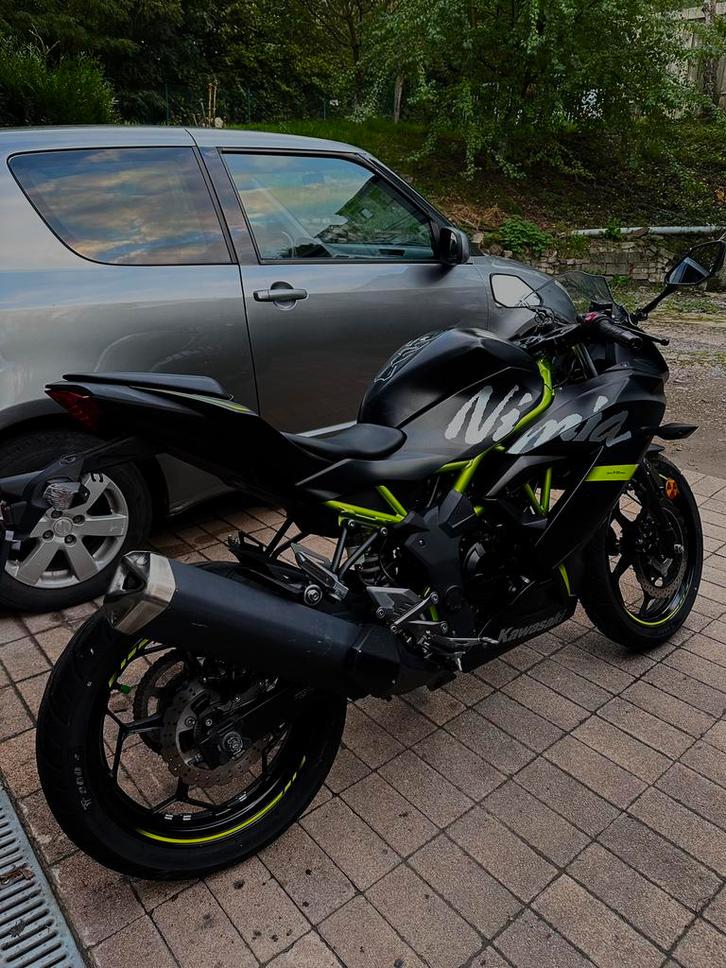 A vendre KAWASAKI NINJA 125 2020, Motoren, Motoren | Kawasaki, Particulier, Sport, 11 kW of minder, 1 cilinder, Minimaal motorrijbewijs A1
