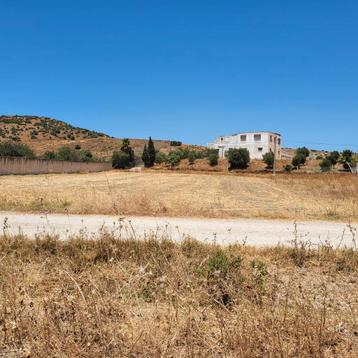 Terrain à vendre. disponible aux enchères