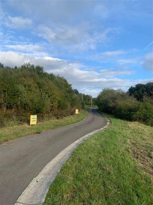 Terrain à vendre à Gouvy, Immo, Terrains & Terrains à bâtir, 1500 m² ou plus