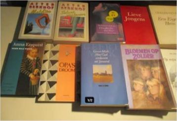 15 Prima Nederlandstalige Romans van bekende schrijvers beschikbaar voor biedingen