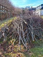Gratis brandhout, hakselhout, Tuin en Terras, Overige Tuin en Terras, Ophalen, Nieuw