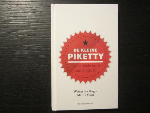 De kleine Pikketty -Wouter van Bergen/Martin Visser, Boeken, Literatuur, Ophalen of Verzenden