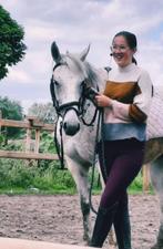 Dpony 11jaar, Dieren en Toebehoren, Pony's, Merrie, Recreatiepony