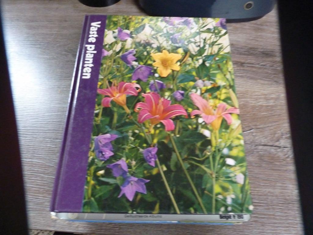 Boek Time Life : vaste planten, Ophalen of Verzenden, Gelezen, Bloemen, Planten en Bomen