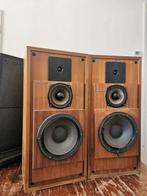 Enceintes Cabasse Goelette M1, Audio, Tv en Foto, Luidsprekerboxen, Ophalen, Gebruikt