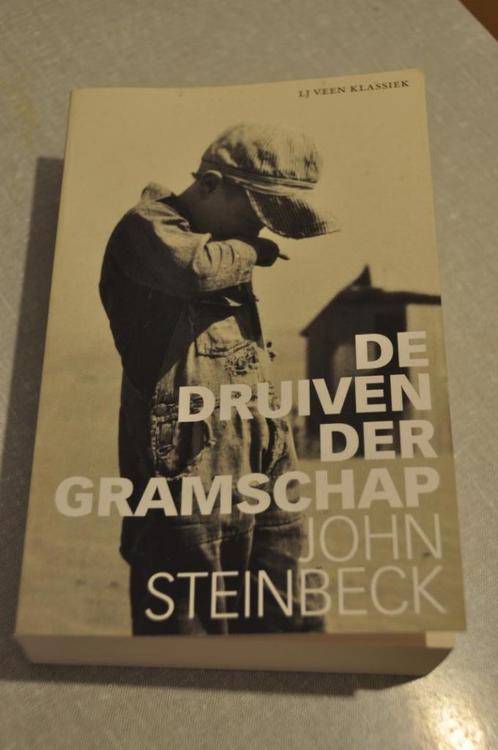 John Steinbeck - De druiven der gramschap, Boeken, Romans, Zo goed als nieuw, Ophalen