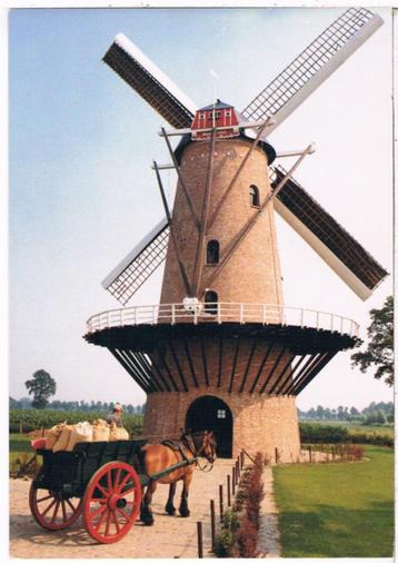 2 Pk. Wildert-Essen + Verbruikzaal (Groot formaat) beschikbaar voor biedingen