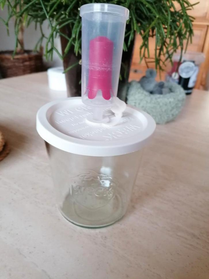 Weck pot met waterslot om te fermenteren, Maison & Meubles, Accessoires pour la Maison | Cloches, Enlèvement