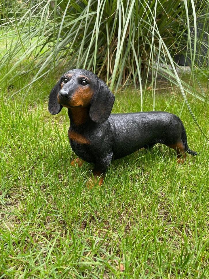 Tuin)Beeld teckel, tekkel, hond, tuin, gazon 40cm, Tuin en Terras, Tuinbeelden, Nieuw, Dierenbeeld, Kunststof, Ophalen of Verzenden