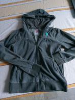 Verschillende vestjes, meisjes, maat 146, Ophalen of Verzenden, Gebruikt, Meisje, Trui of Vest