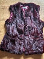 Bonten jasje maat 38, Kleding | Dames, Bodywarmers, Paars, Zo goed als nieuw, Bont, Ophalen
