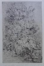 MARIJKE PIJL / VERGEET-MIJ-NIETJES / ZW-W ETS / 48x32cm SIG, Antiek en Kunst, Ophalen of Verzenden