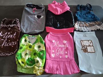 Mooie hondenkleding, pakket of per stuk te koop beschikbaar voor biedingen