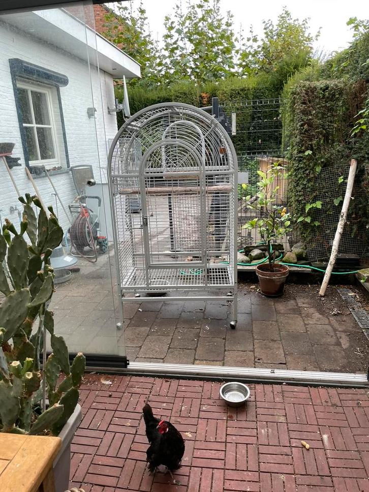 Te koop hele grote papegaaien kooi, Dieren en Toebehoren, Vogels | Hokken en Kooien, Gebruikt, Ophalen