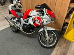 Suzuki Tour « Lucky Strike » 600 Motorcycle 1999, Motos, Motos | Suzuki, Entreprise, Autre