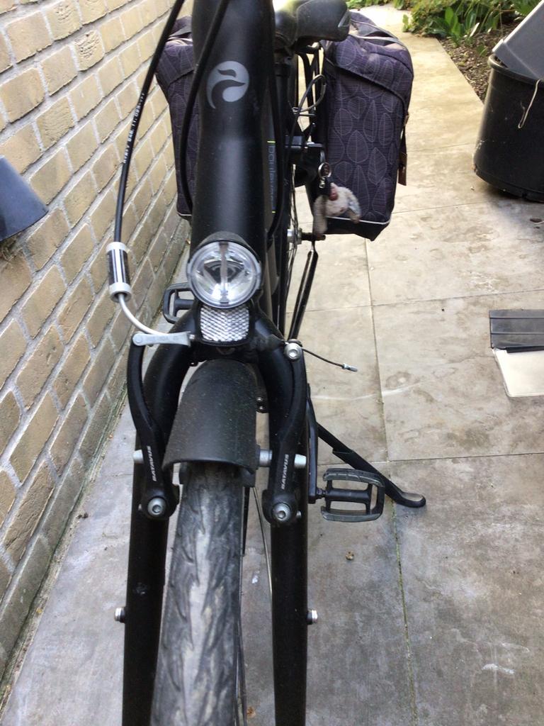 Damesfiets , framemaat 50 cm met fietstassen, Ophalen, Gebruikt, Batavus, (Extra) lage instap