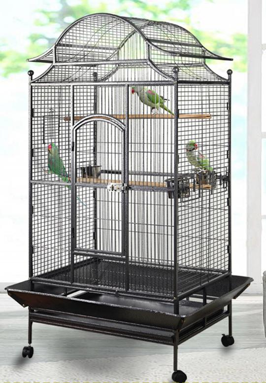 CAGE DE VOLIÈRE POUR PERROQUETS NEUVE, Enlèvement