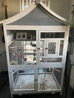 Koppel valkparkieten met grote kooi, Ophalen, Gebruikt, Hout