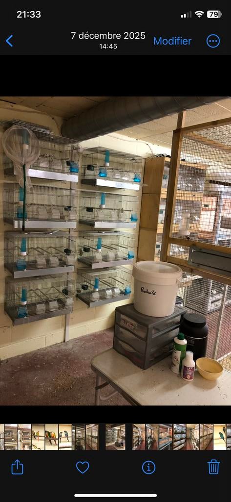 Vend cages cova 55cm, Animaux & Accessoires, Oiseaux | Cages & Volières, Enlèvement, Comme neuf, Aluminium, Cage d'élevage