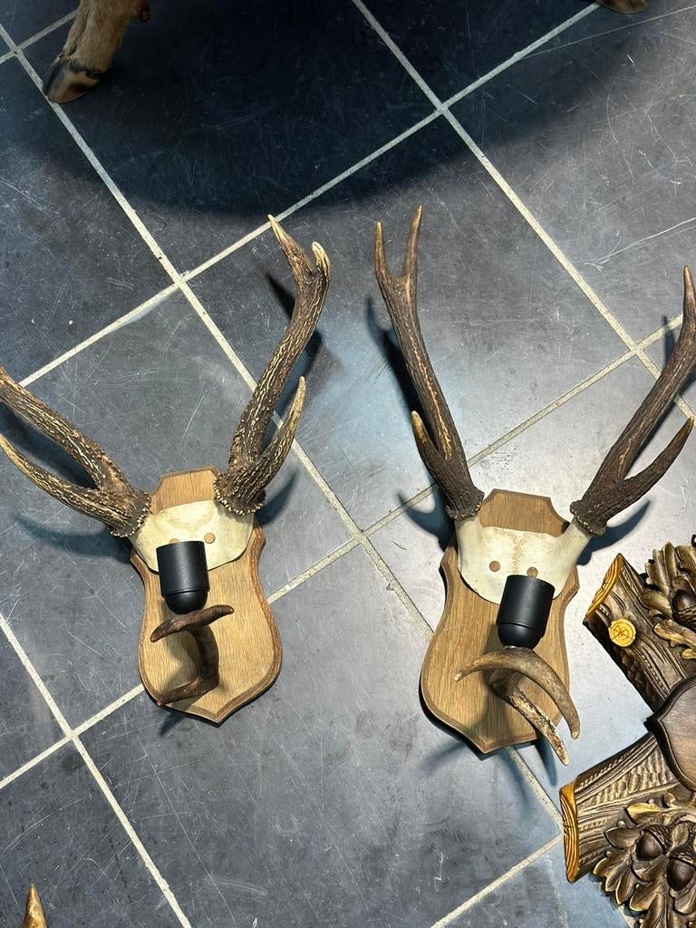 Gewei lampen muurlamp, Enlèvement