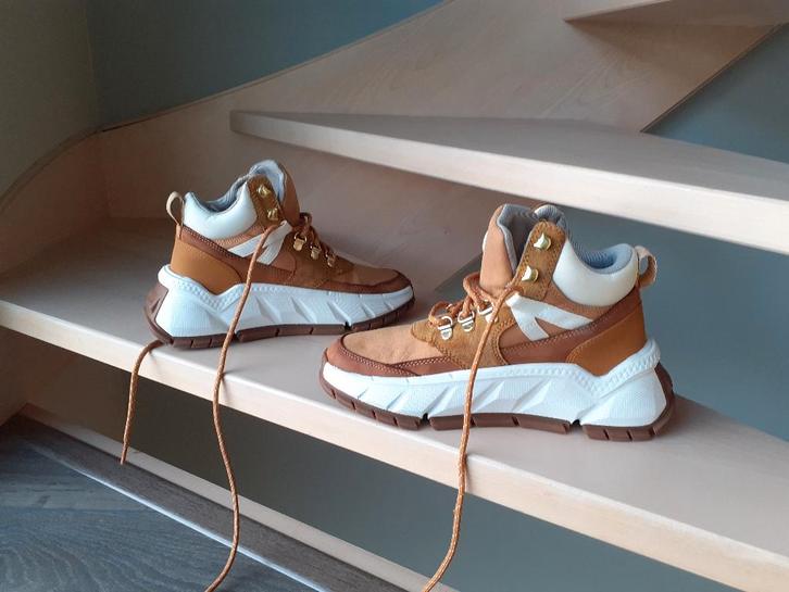 Timberland sneakers - maat 37, Kleding | Dames, Schoenen, Nieuw, Sneakers, Overige kleuren, Ophalen of Verzenden