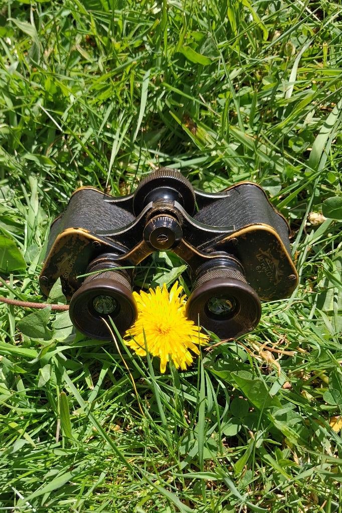 Jumelles, Ophalen of Verzenden